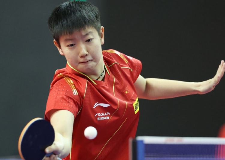 具备极高的 具备极高的