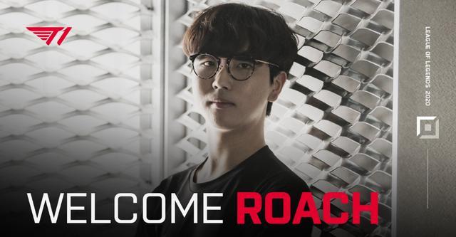 L联赛表现 L联赛表现